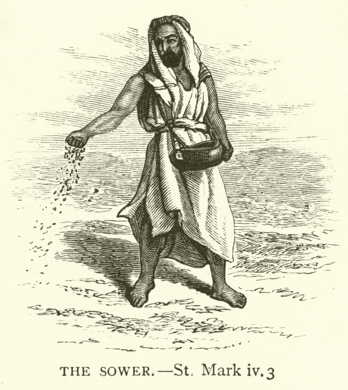 الزارع ، سانت مارك ، الرابع ، 3 (نقش) بواسطة مدرسة اللغة الإنجليزية