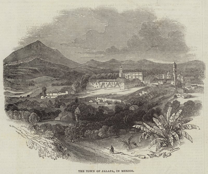 The Town of Jalapa, in Mexico (engraving) بواسطة مدرسة اللغة الإنجليزية