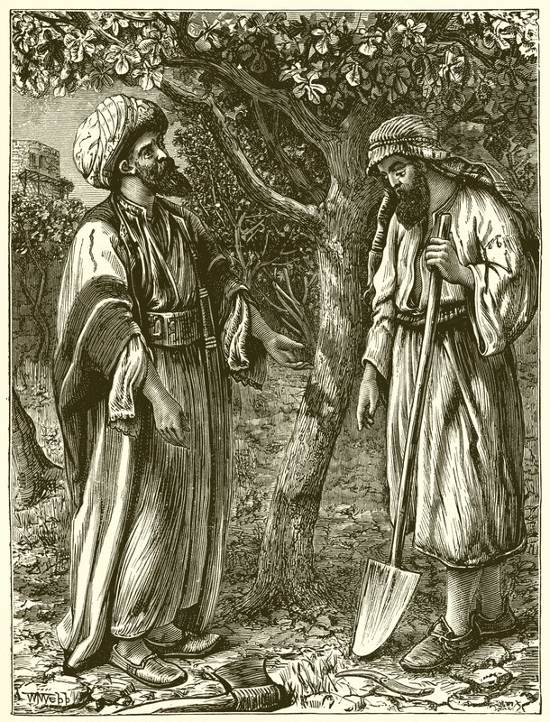 الشجرة غير المثمرة بواسطة مدرسة اللغة الإنجليزية