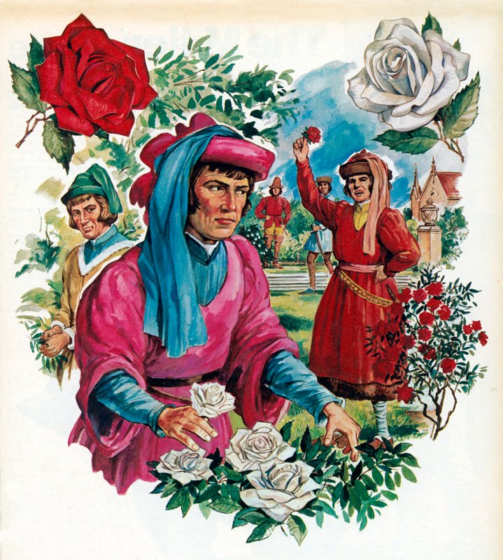 حرب الورود بواسطة مدرسة اللغة الإنجليزية