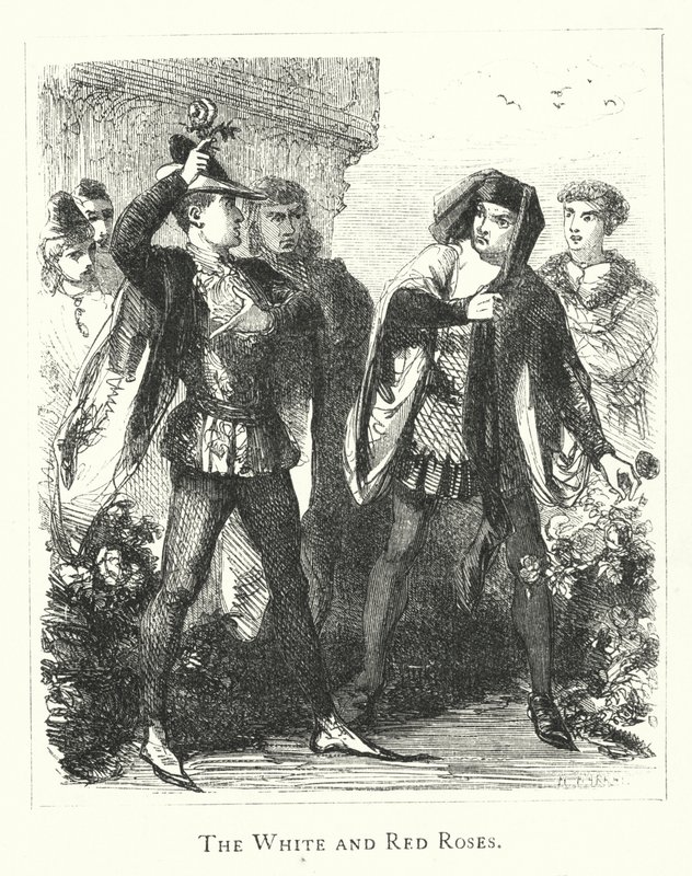 The White and Red Roses (engraving) بواسطة مدرسة اللغة الإنجليزية