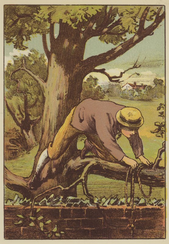 The escape (coloured engraving) بواسطة مدرسة اللغة الإنجليزية