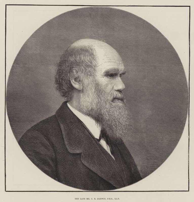 الراحل السيد CR Darwin، FRS، LLD بواسطة مدرسة اللغة الإنجليزية