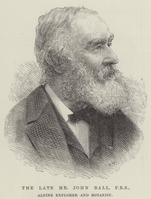 The late Mr John Ball, FRS, Alpine Explorer and Botanist (engraving) بواسطة مدرسة اللغة الإنجليزية