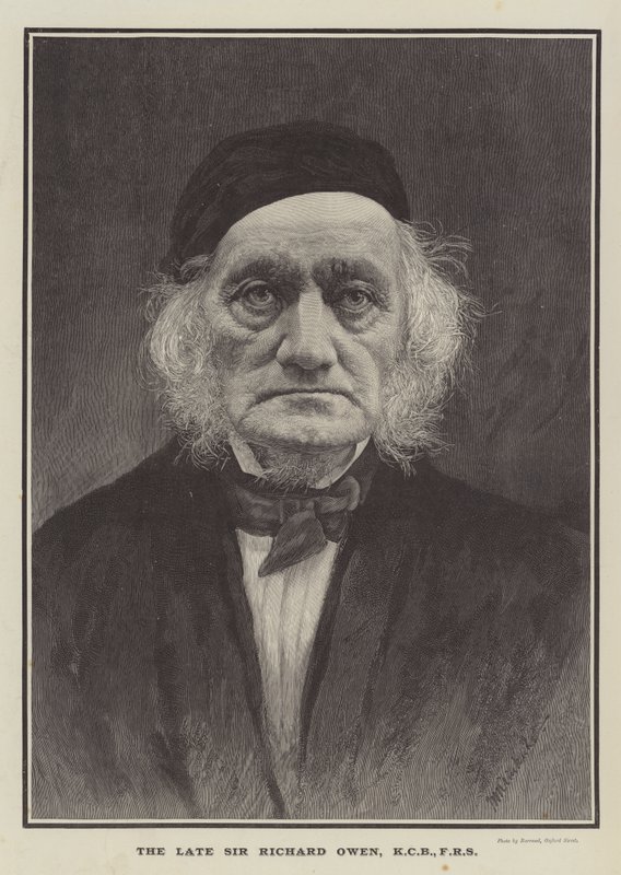 The late Sir Richard Owen, KCB, FRS (engraving) بواسطة مدرسة اللغة الإنجليزية
