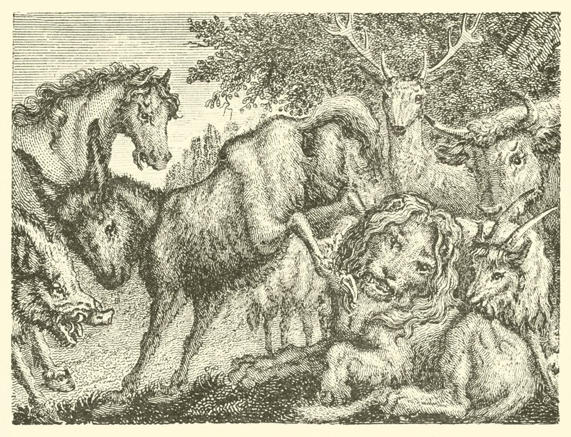 الأسد العجوز (نقش) بواسطة مدرسة اللغة الإنجليزية
