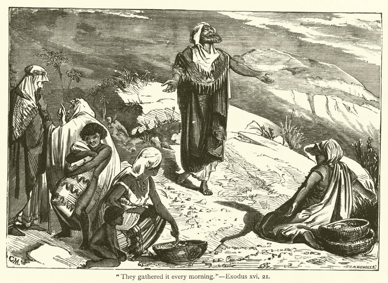 "جمعوها كل صباح" ، سفر الخروج ، السادس عشر ، 21 (نقش) بواسطة مدرسة اللغة الإنجليزية