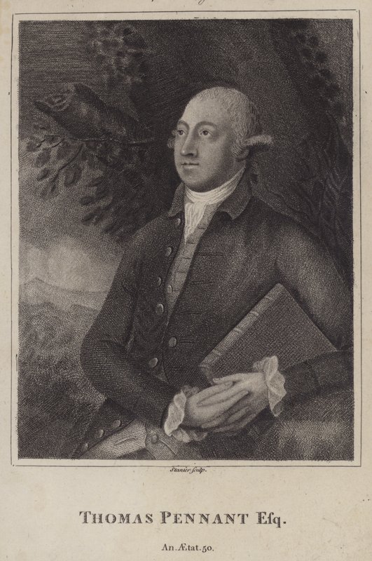 Thomas Pennant, Welsh naturalist and topographer (engraving) بواسطة مدرسة اللغة الإنجليزية