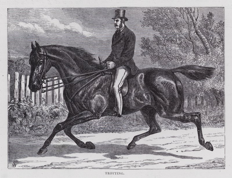 Trotting (engraving) بواسطة مدرسة اللغة الإنجليزية