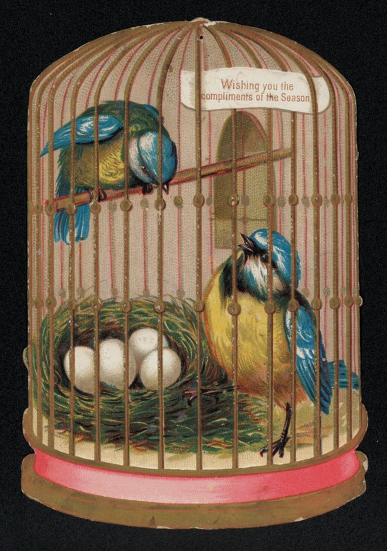 اثنين من الثدي الأزرق في قفص ، بطاقة تهنئة بعيد الميلاد (chromolitho) بواسطة مدرسة اللغة الإنجليزية
