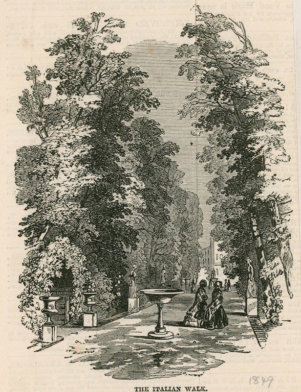حدائق فوكسهول ، لندن: The Italian walk بواسطة مدرسة اللغة الإنجليزية