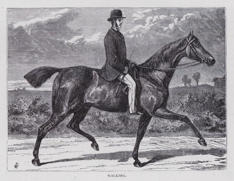 Walking (engraving) بواسطة مدرسة اللغة الإنجليزية