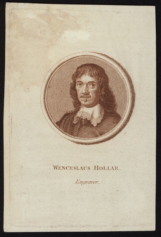 Wenceslaus Hollar بواسطة مدرسة اللغة الإنجليزية