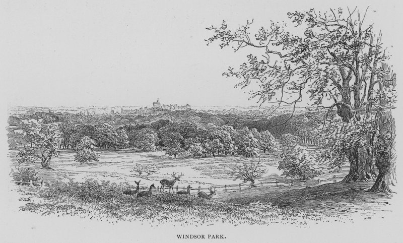 Windsor Park (engraving) بواسطة مدرسة اللغة الإنجليزية