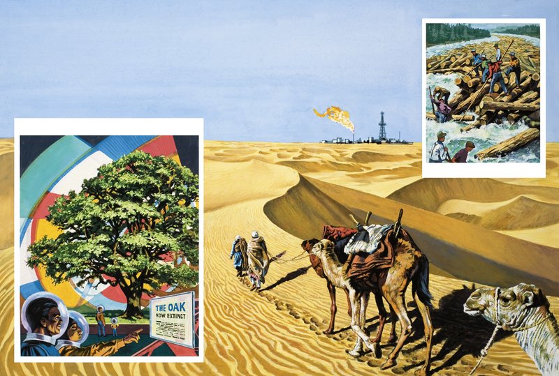 يمكنك أن تقود الجمل إلى النفط بواسطة مدرسة اللغة الإنجليزية