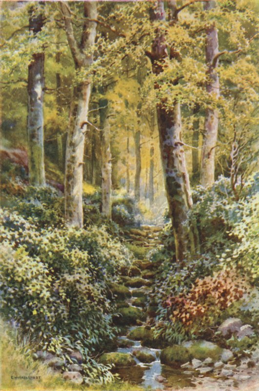 Fairlight Glen (لون litho) بواسطة إرنست ويليام هاسلهوست