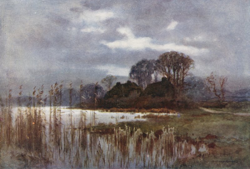 The Mill Pond ، بوليو (لون ليثو) بواسطة إرنست ويليام هاسلهوست