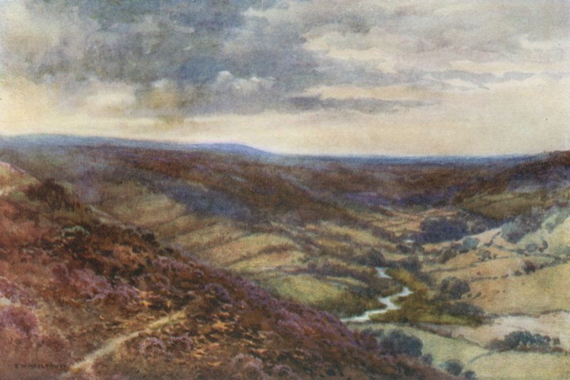 The Moors near Hackness (لون ليثو) بواسطة إرنست ويليام هاسلهوست
