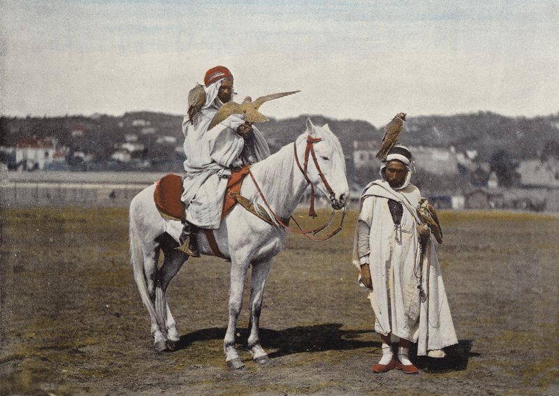 صيد الصقر بواسطة المصور الأوروبي