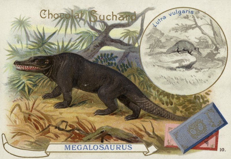 Megalosaurus وثعالب الماء بواسطة المدرسة الأوروبية