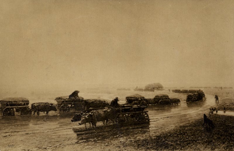 مسار عربة الثور في ماريوبول ، 1875 بواسطة المدرسة الأوروبية