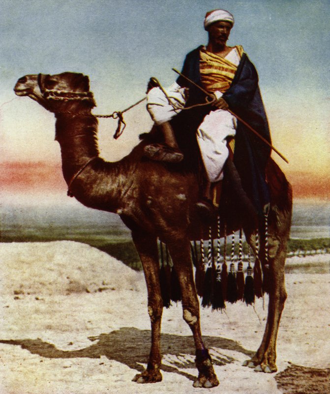 A Bedouin (photo) بواسطة المصور الأوروبي
