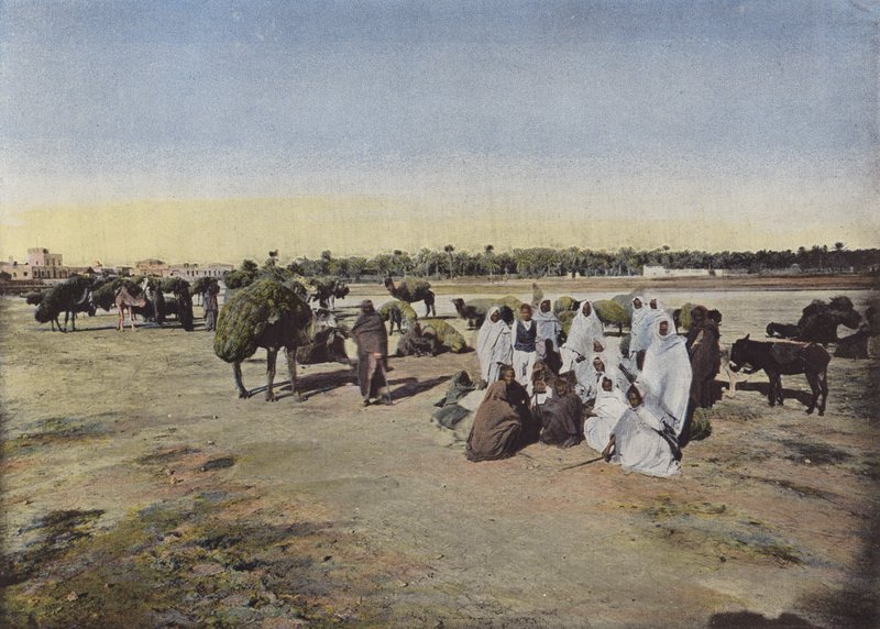 قافلة تجلب LAfa بواسطة المصور الأوروبي