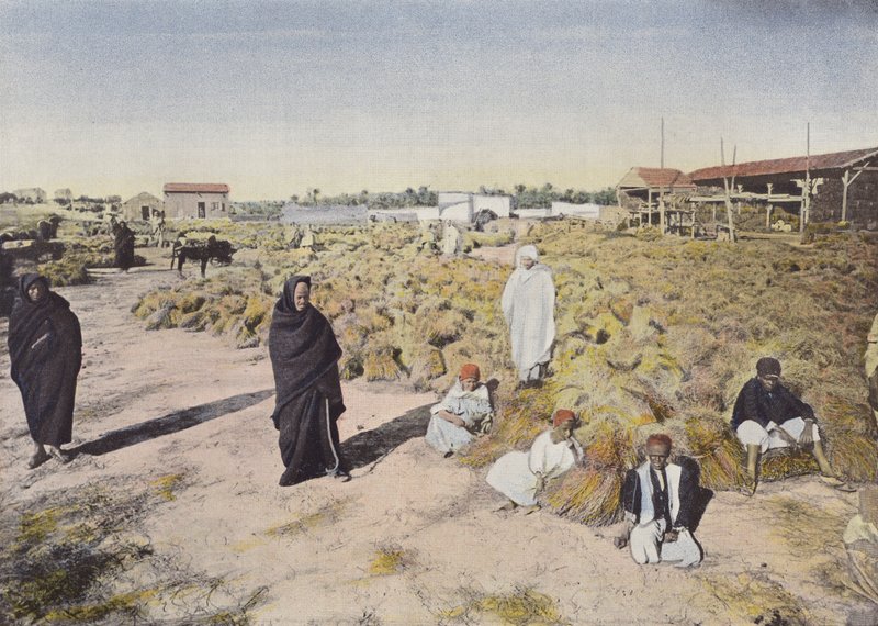 DAlfa Depot بواسطة المصور الأوروبي