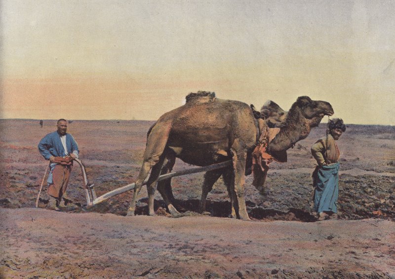 Laboureur Tekes بواسطة المصور الأوروبي