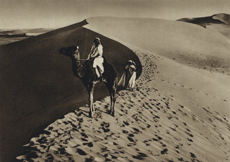  بواسطة المصور الأوروبي