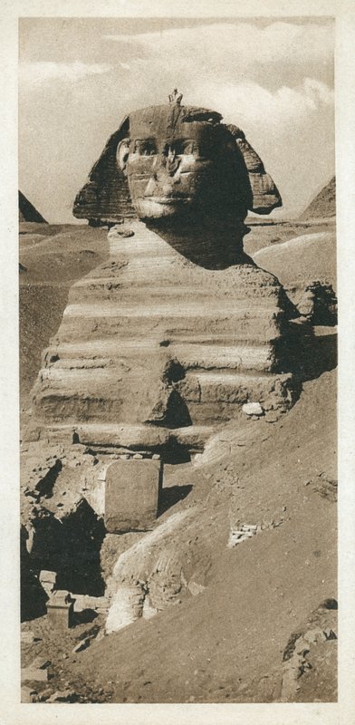تمثال أبو الهول على هضبة الجيزة ، مصر (b / w photo) بواسطة المصور الأوروبي