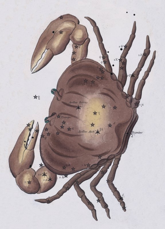 Cancer (colour litho) بواسطة المدرسة الأوروبية