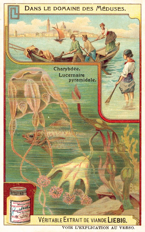 Charybdis و Lucernia الهرمي (Chromolitho) بواسطة المدرسة الأوروبية