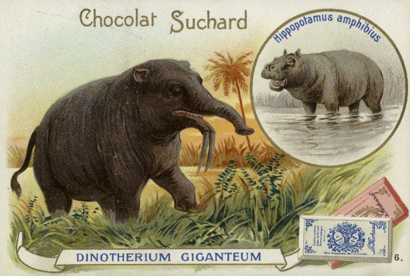 Deinotherium Giganteum وفرس النهر بواسطة المدرسة الأوروبية