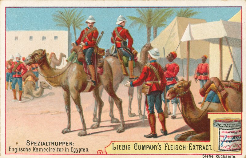 جنود إنجليز على جِمال، بطاقة ليبيغ، أوائل القرن العشرين (كرومو) بواسطة المدرسة الأوروبية