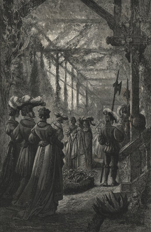 Fete Dans Une Serre, D