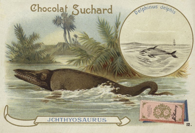 Ichthyosaur والدلافين المشتركة بواسطة المدرسة الأوروبية
