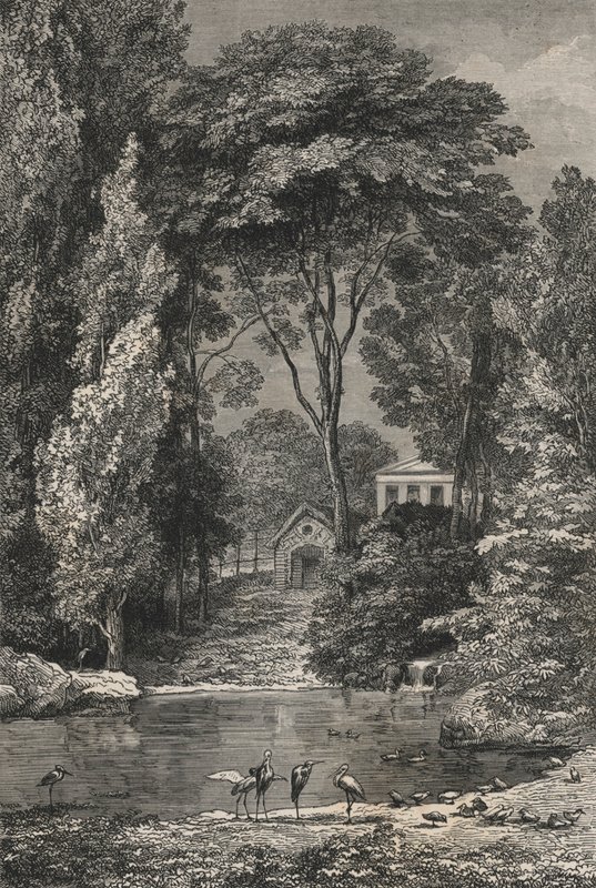 La Vallee Suisse Au Jardin Des Plantes De Paris (engraving) بواسطة المدرسة الأوروبية
