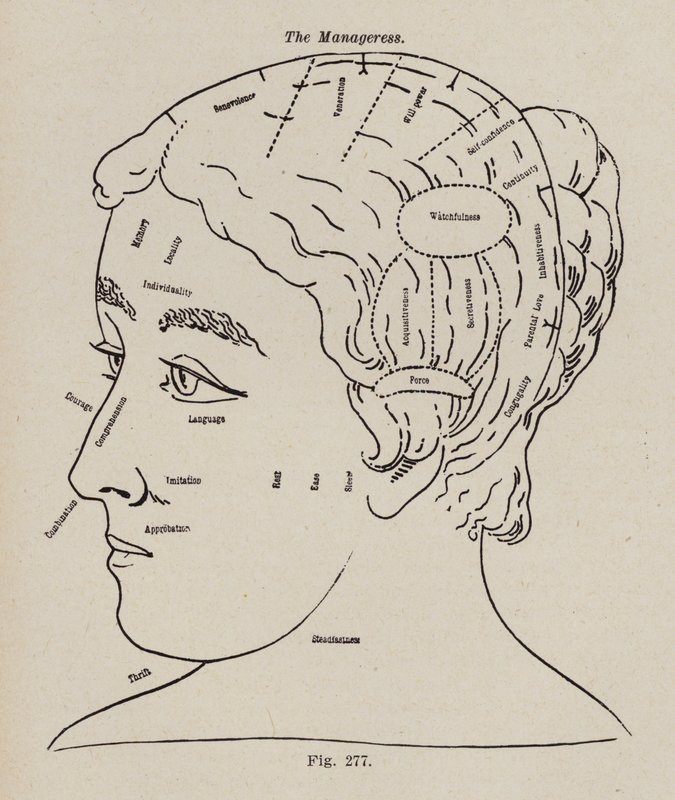 Phrenology, A Manageress (litho) بواسطة المدرسة الأوروبية