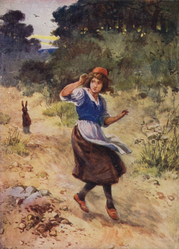 قصة مجهولة هانز كريستيان أندرسون بواسطة إيفلين ستيوارت هاردي