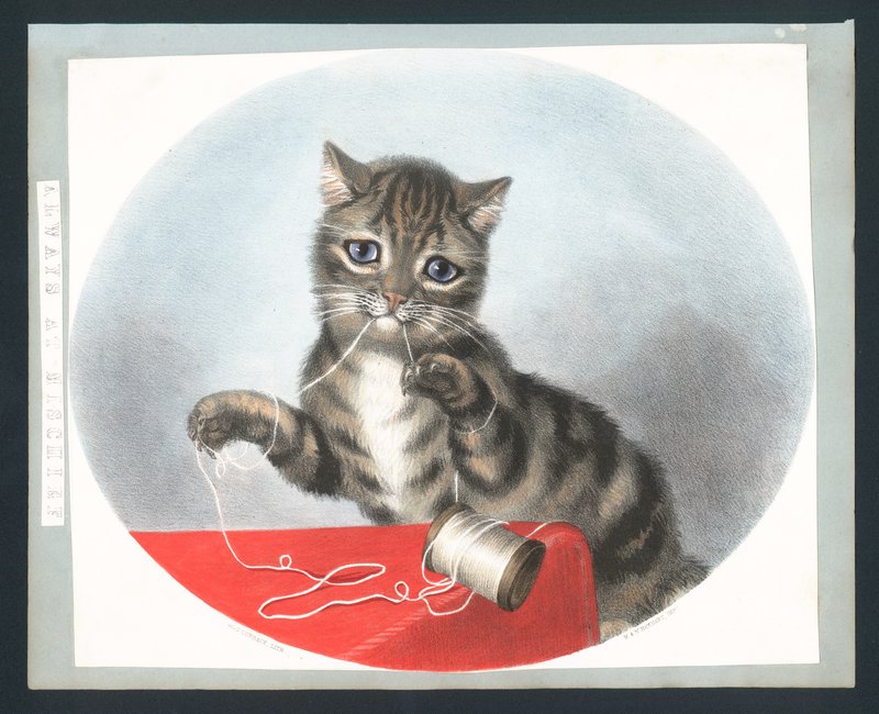 دائما في Mischief - بطاقة التهنئة الفيكتورية (chromolitho) بواسطة فاني كوربو