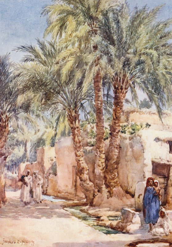  بواسطة فرانسيس نسبيت