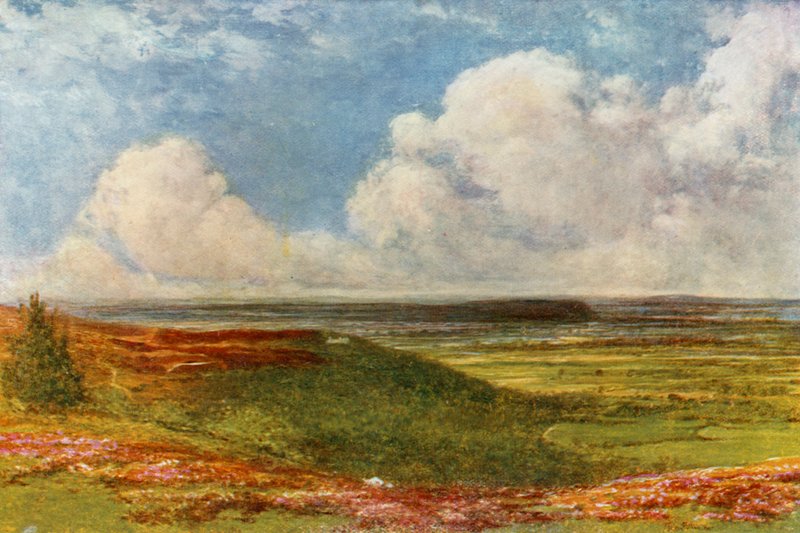 Blackdown Common بواسطة فرانسيس س. ووكر