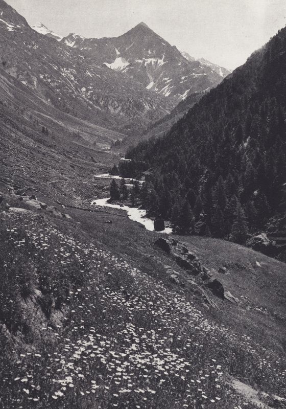 جبال الألب الشرقية: في Windach Tal (صورة b / w) بواسطة فرانسيس سيدني سميث