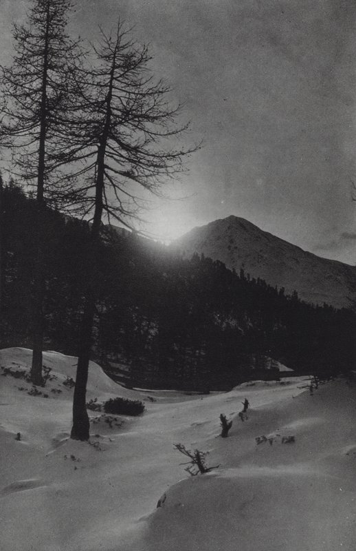 جبال الألب: بالقرب من Obergurgl (صورة b / w) بواسطة فرانسيس سيدني سميث