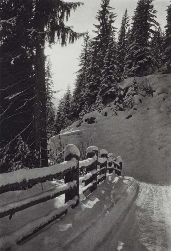 جبال الألب: Winter Morning ، بالقرب من St Anton (b / w photo) بواسطة فرانسيس سيدني سميث