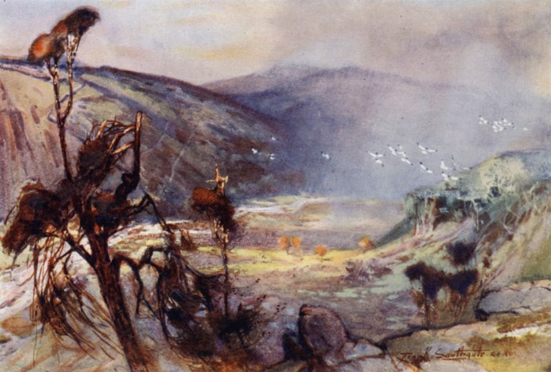 عاصفة في Cheviots (لون litho) بواسطة فرانك ساوثجيت
