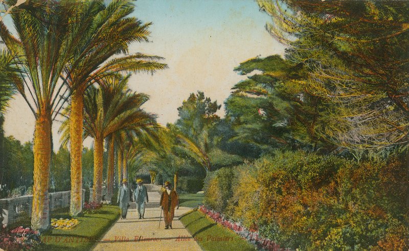 زقاق النخيل ، حدائق فيلا Eilenroc ، كاب DAntibes ، فرنسا. أُرسلت البطاقة البريدية عام 1913 بواسطة مصور فرنسي