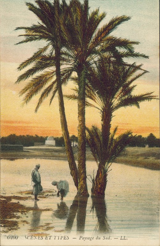  بواسطة مصور فرنسي