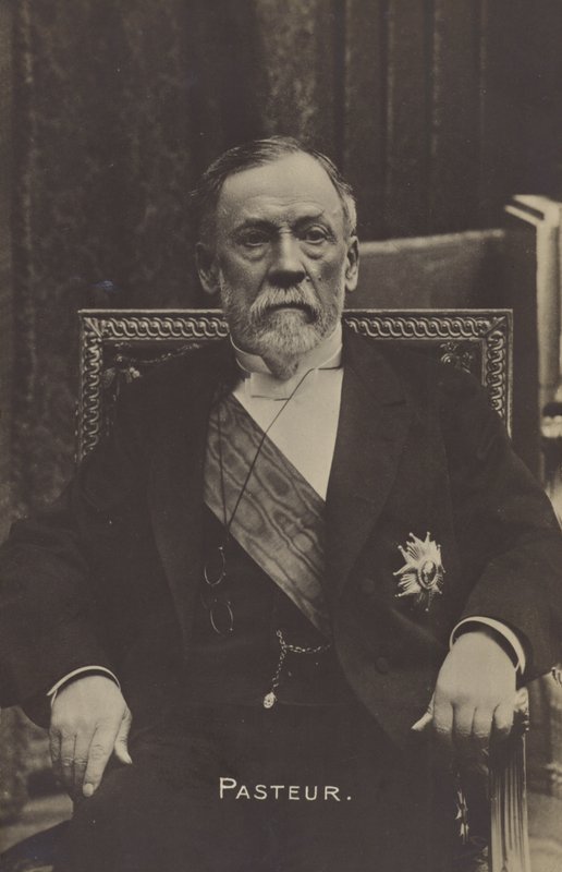 لويس باستور (1822-1895) ، الكيميائي وعلم الأحياء الدقيقة الفرنسي بواسطة مصور فرنسي